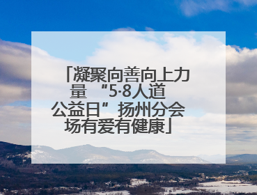 凝聚向善向上力量 “5·8人道公益日”扬州分会场有爱有健康