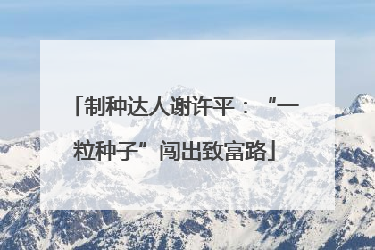 制种达人谢许平：“一粒种子”闯出致富路