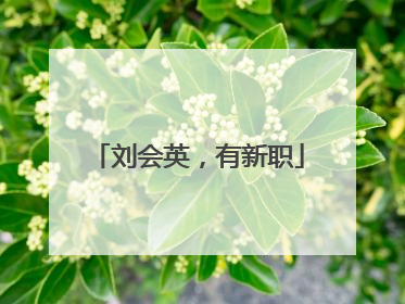 刘会英，有新职
