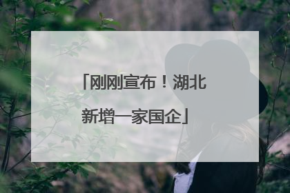 刚刚宣布！湖北新增一家国企