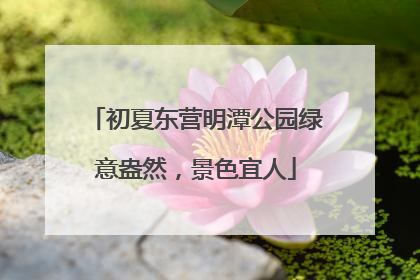 初夏东营明潭公园绿意盎然，景色宜人