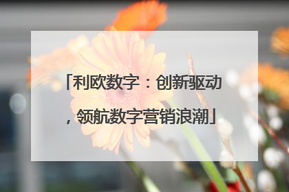 利欧数字：创新驱动，领航数字营销浪潮