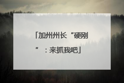 加州州长“硬刚”：来抓我吧