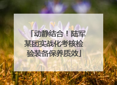 动静结合！陆军某团实战化考核检验装备保养质效