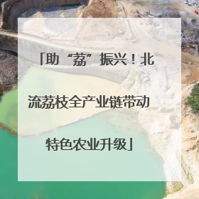 助“荔”振兴！北流荔枝全产业链带动特色农业升级