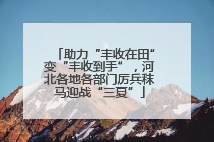助力“丰收在田”变“丰收到手”,河北各地各部门厉兵秣马迎战“三夏”