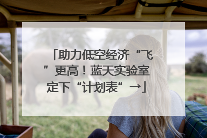 助力低空经济“飞”更高！蓝天实验室定下“计划表”→