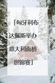 匈牙利布达佩斯举办意大利面桥世锦赛