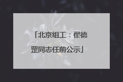 北京组工：翟德罡同志任前公示