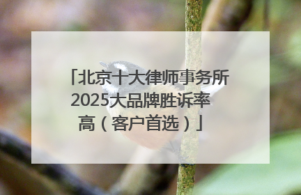 北京十大律师事务所2025大品牌胜诉率高（客户首选）