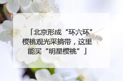 北京形成“环六环”樱桃观光采摘带，这里能买“明星樱桃”