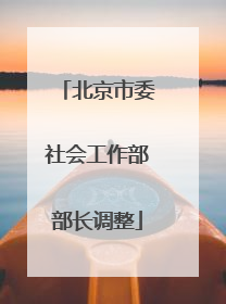 北京市委社会工作部部长调整