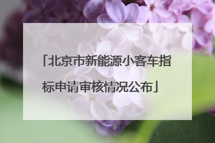 北京市新能源小客车指标申请审核情况公布