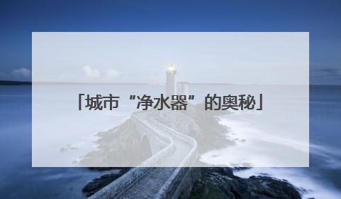 城市“净水器”的奥秘