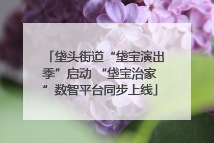垡头街道“垡宝演出季”启动 “垡宝治家”数智平台同步上线