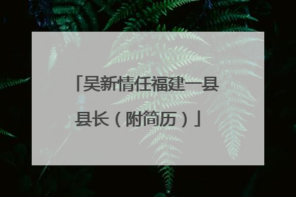 吴新情任福建一县县长（附简历）