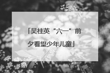 吴桂英“六一”前夕看望少年儿童