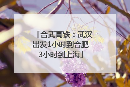 合武高铁：武汉出发1小时到合肥3小时到上海