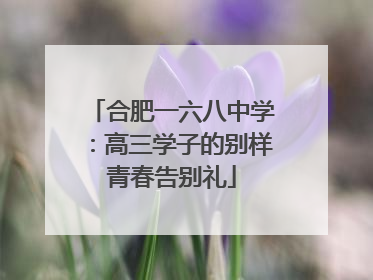 合肥一六八中学：高三学子的别样青春告别礼