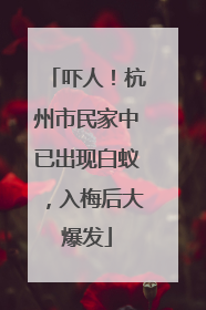 吓人！杭州市民家中已出现白蚁，入梅后大爆发