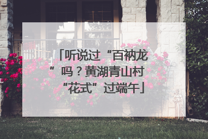 听说过“百衲龙”吗？黄湖青山村“花式”过端午