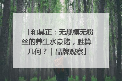和其正：无规模无粉丝的养生水豪赌，胜算几何？｜品牌观察