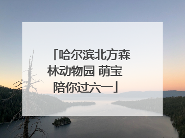 哈尔滨北方森林动物园 萌宝陪你过六一