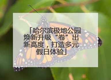 哈尔滨极地公园焕新升级“卷”出新高度，打造多元假日体验