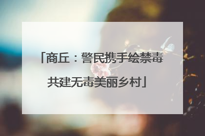 商丘：警民携手绘禁毒 共建无毒美丽乡村