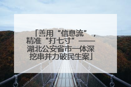 善用“信息流”，精准“打七寸”——湖北公安省市一体深挖串并力破民生案