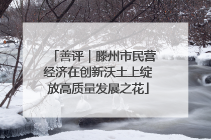 善评｜滕州市民营经济在创新沃土上绽放高质量发展之花