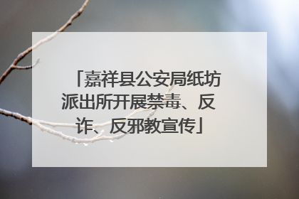 嘉祥县公安局纸坊派出所开展禁毒、反诈、反邪教宣传