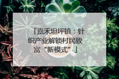 嘉禾坦坪镇：针织产业解锁村民致富“新模式”