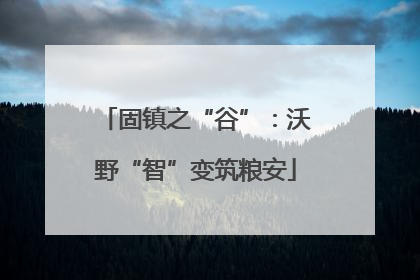 固镇之“谷”：沃野“智”变筑粮安