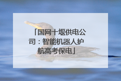 国网十堰供电公司：智能机器人护航高考保电