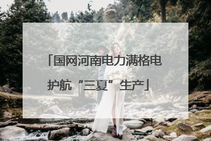 国网河南电力满格电护航“三夏”生产