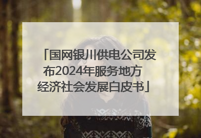 国网银川供电公司发布2024年服务地方经济社会发展白皮书
