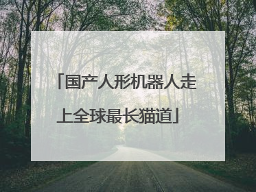 国产人形机器人走上全球最长猫道