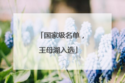 国家级名单，王母湖入选