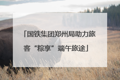 国铁集团郑州局助力旅客“粽享”端午旅途