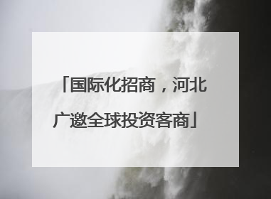 国际化招商，河北广邀全球投资客商