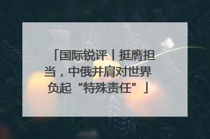 国际锐评丨挺膺担当，中俄并肩对世界负起“特殊责任”