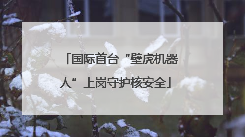 国际首台“壁虎机器人”上岗守护核安全