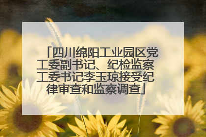 四川绵阳工业园区党工委副书记、纪检监察工委书记李玉琼接受纪律审查和监察调查
