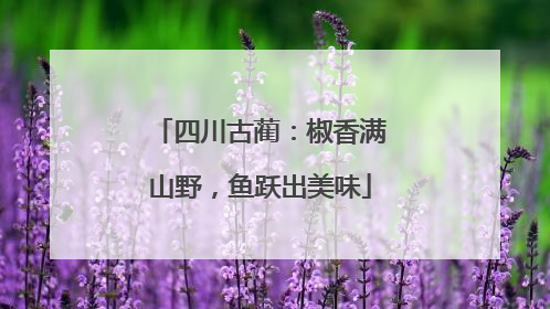 四川古蔺：椒香满山野，鱼跃出美味