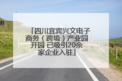 四川宜宾兴文电子商务（跨境）产业园开园 已吸引20余家企业入驻