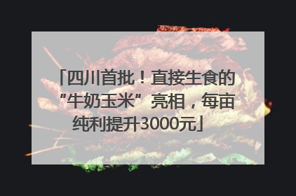 四川首批！直接生食的“牛奶玉米”亮相，每亩纯利提升3000元