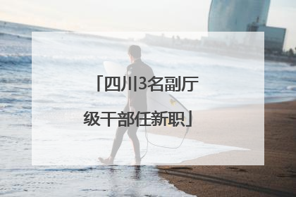 四川3名副厅级干部任新职