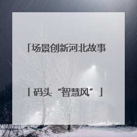 场景创新河北故事丨码头“智慧风”
