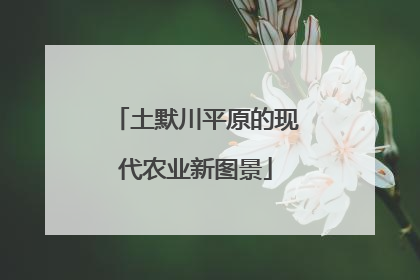 土默川平原的现代农业新图景